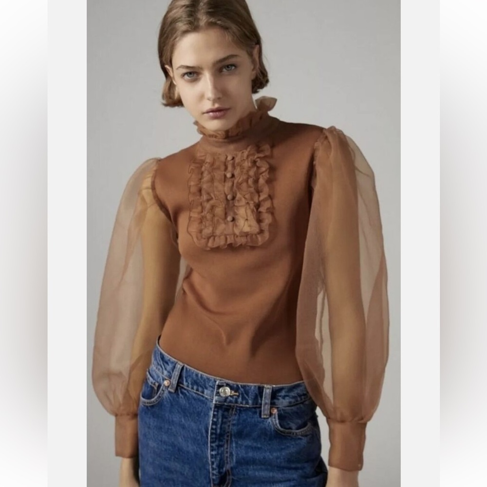 Zara Organza High Neck Knit Top
